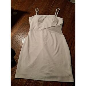 Women's Large Off-White Adjustable Strap Rear Zip Mesh Bodycon Sexy Mini Dress